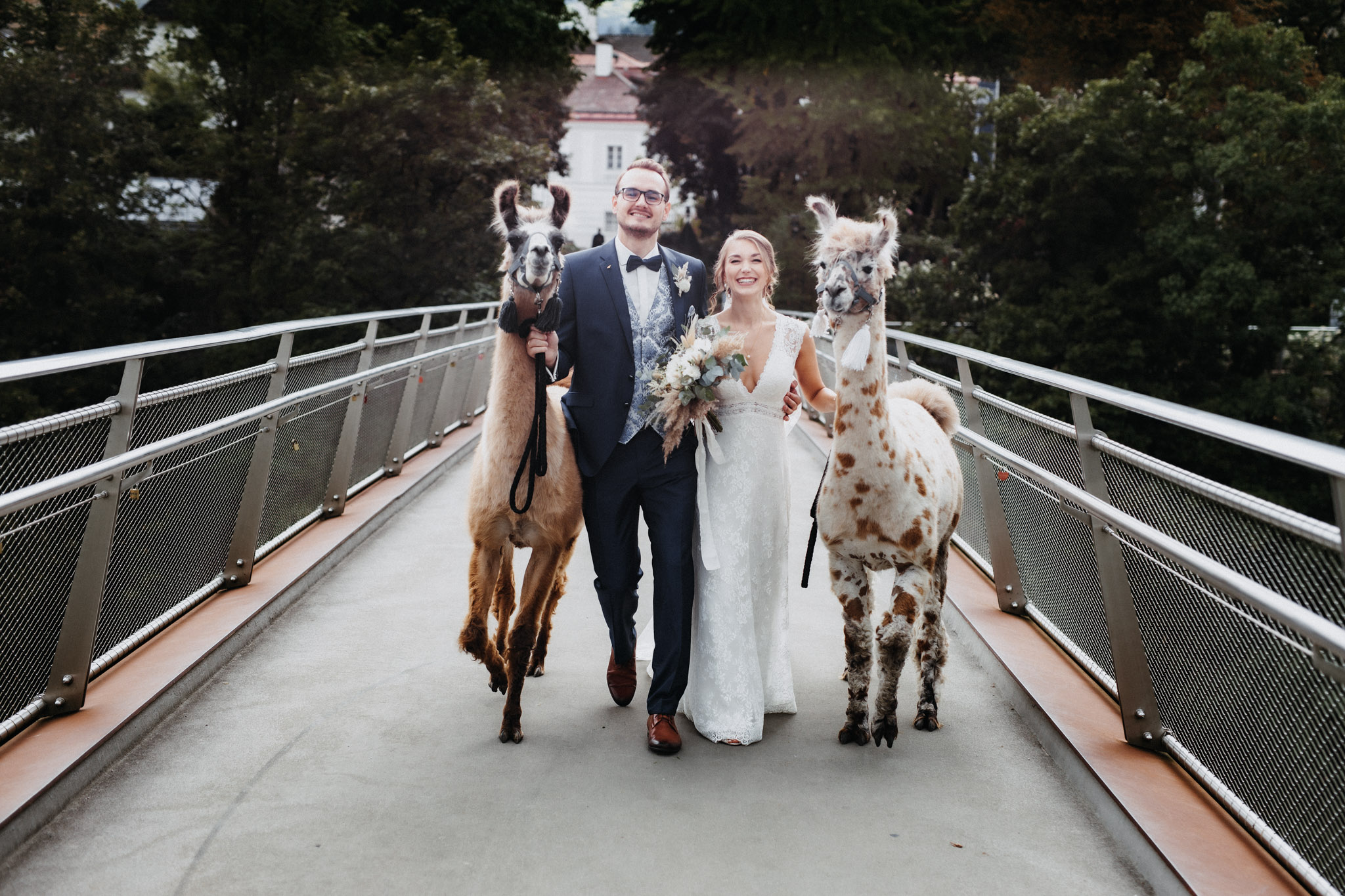 Hochzeit Brautpaar Lamas